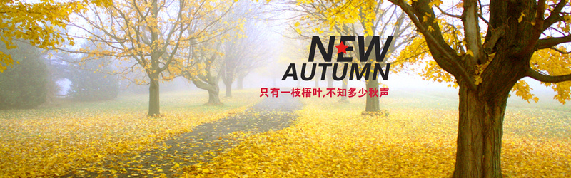 秋季背景psd设计背景_新图网 https://ixintu.com 海报banner 秋季背景 枫叶 落叶 黄色 深林小道