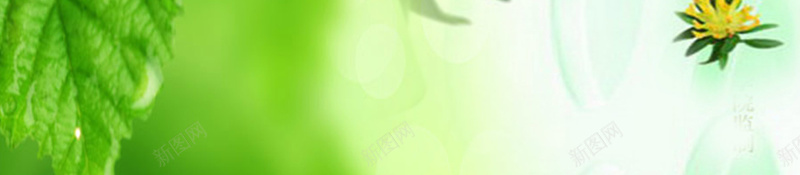 绿色树叶清新化妆品宣传海报背景素材psd设计背景_新图网 https://ixintu.com 化妆品海报 化妆品绿色 宣传海报 清新海报 绿色清新