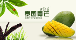 泰式树叶泰式泰国青芒果宣传海报背景素材高清图片