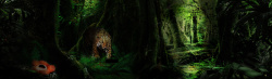 热带雨林海报热带雨林背景高清图片