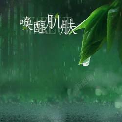 初春小雨下雨树叶雨滴化妆品海报背景素材高清图片