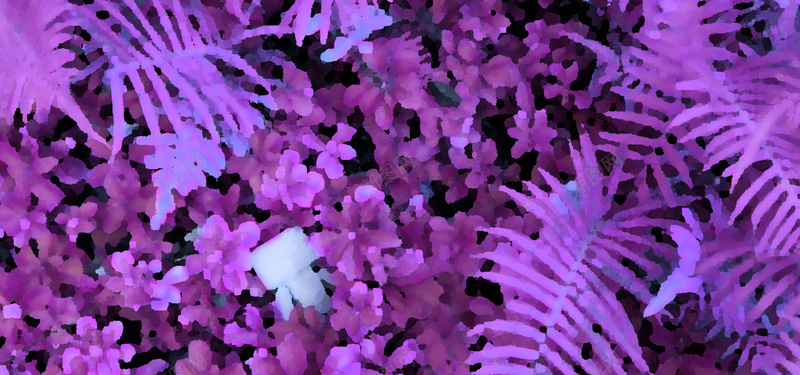 水彩水粉花植物画背景