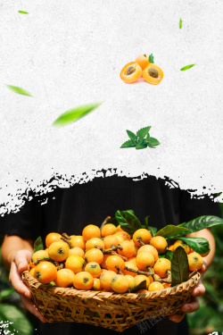 枇杷海报水果枇杷促销海报高清图片