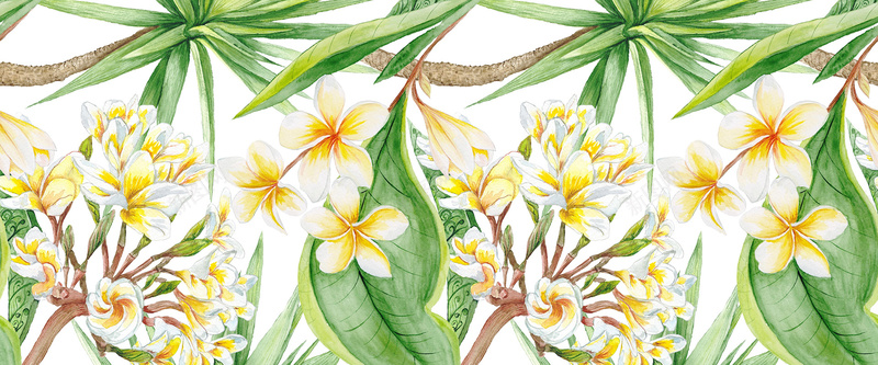 白色花朵背景jpg设计背景_新图网 https://ixintu.com 植物 白色 绿色 花朵 鲜花 叶子 手绘 海报banner 卡通 童趣