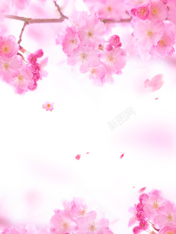 桃片落粉色浪漫美妆海报背景高清图片