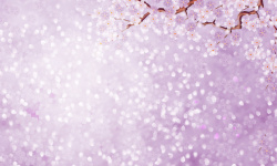 罗曼蒂克梦幻桃花花雨紫色背景素材高清图片