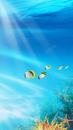 梦幻水草海底世界H5背景高清图片