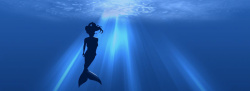 海里的美人鱼海里的美人鱼背景高清图片