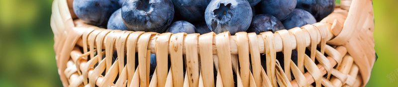 蓝莓水果促销海报jpg设计背景_新图网 https://ixintu.com 新鲜水果 叶子 果篮 水果 蓝莓 蓝莓采摘 水果超市 进口蓝莓