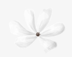手绘卡通白色花朵免扣元素素材