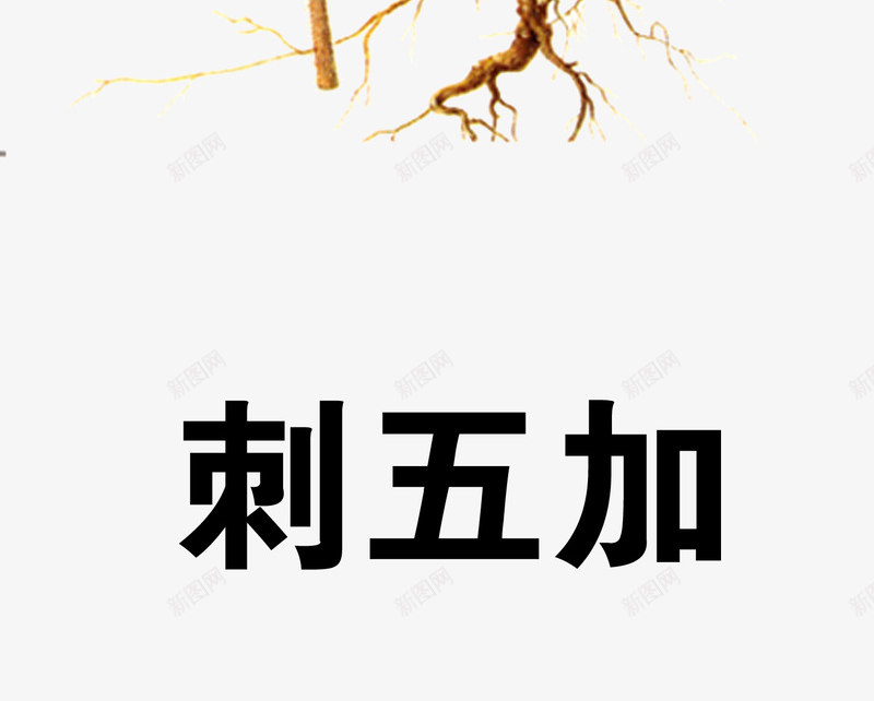 中医中药png免抠素材_新图网 https://ixintu.com 中医中药