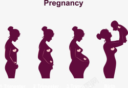 孕期 孕妇婴幼儿amp孕妇素材