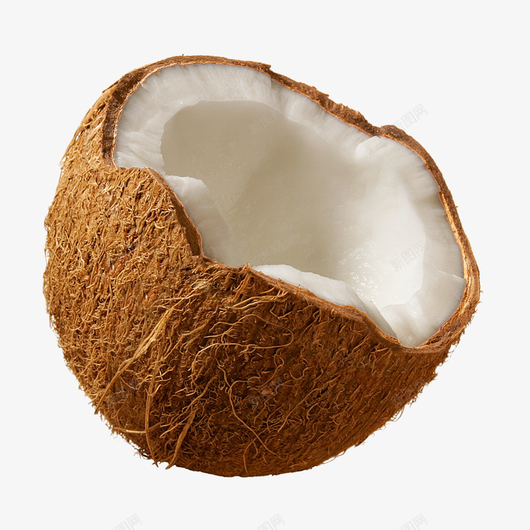 Coconut  image水果png免抠素材_新图网 https://ixintu.com 水果