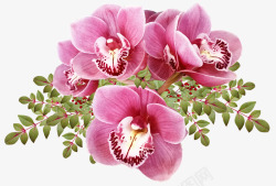 flowers4553429960720花朵素材