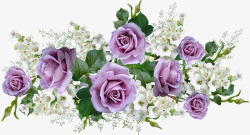 flowers4475349960720花朵素材