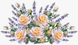 Rosesroses4170056960720植物高清图片