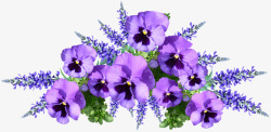 flowers4433456960720植物素材