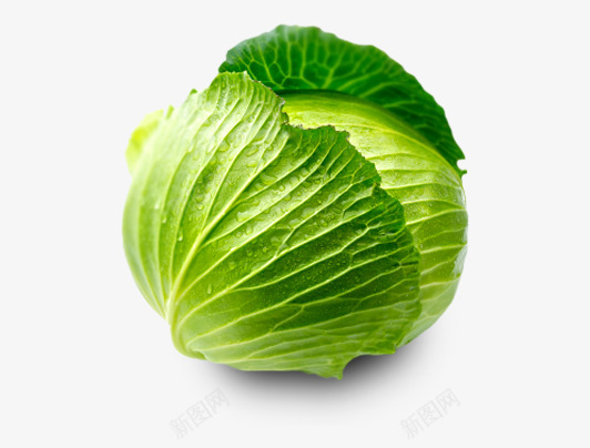 Cabbage  image蔬菜 水果png免抠素材_新图网 https://ixintu.com 蔬菜水果