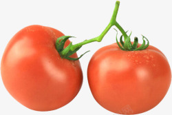 粉西红柿 西红柿其他透明素材
