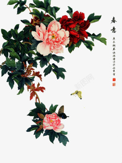 工笔画图 20牡丹素材