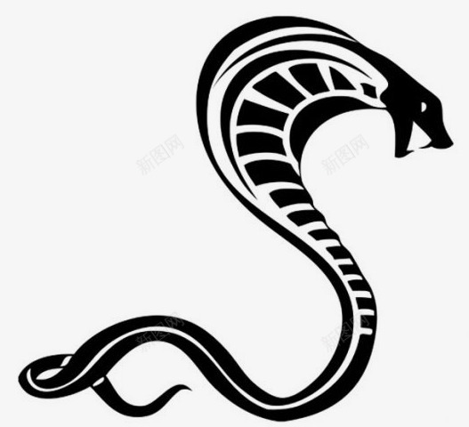 眼镜蛇动物png免抠素材_新图网 https://ixintu.com 眼镜蛇 动物