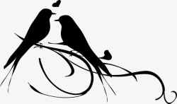 birdsBirds Chirping Love Courtship素锦高清图片