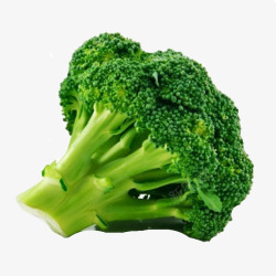 Broccoli 蔬菜素材