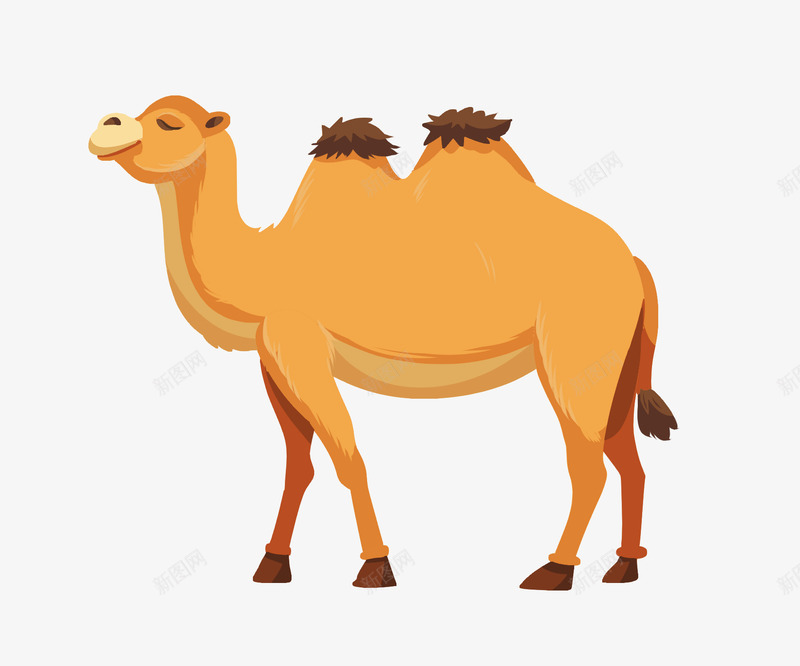 写实黄色骆驼png免抠素材_新图网 https://ixintu.com 沙漠骆驼 写实 动物 驼峰 骆驼 黄色