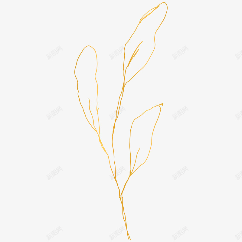 botanical leaves  sketched florals纹理png免抠素材_新图网 https://ixintu.com 纹理