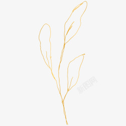 botanical leaves  sketched florals纹理高清图片