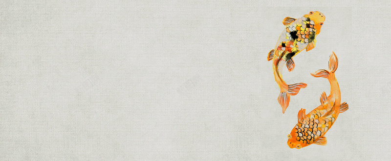 手绘中国风两条彩色鲤鱼jpg设计背景_新图网 https://ixintu.com 彩色鲤鱼 中国风 手绘 游动 灰色 灵活 海报banner