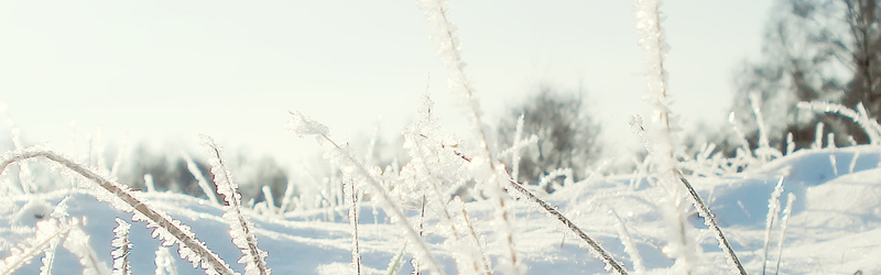 冬天雪背景jpg设计背景_新图网 https://ixintu.com 冬天背景 冬天雪背景 下雪banner 篱笆背景 雪景 冬天雪 海报banner 摄影 风景