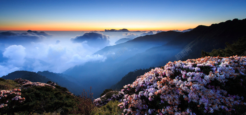 蓝天云海背景jpg设计背景_新图网 https://ixintu.com 云海 花朵 天空 自然风光 背景 景区 海报banner 摄影 风景