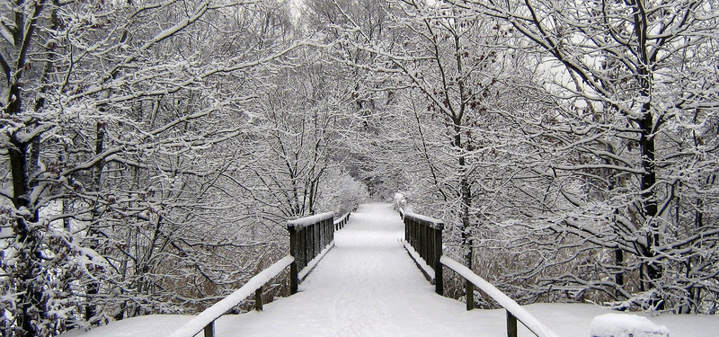 冬季雪天木桥背景jpg设计背景_新图网 https://ixintu.com 冬季 雪天 木桥 树林 雪 白色 背景 海报banner