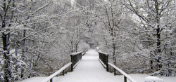 白色木桥冬季雪天木桥背景高清图片