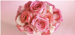 花卉花束玫瑰花束背景高清图片