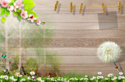 竹夹子木板桃花蒲公英野菊花竹夹子绘成的相框背景高清图片