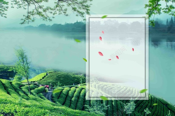 小清新茶文化海报背景模板背景
