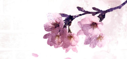粉色樱花日式花瓶粉色手绘樱花背景高清图片