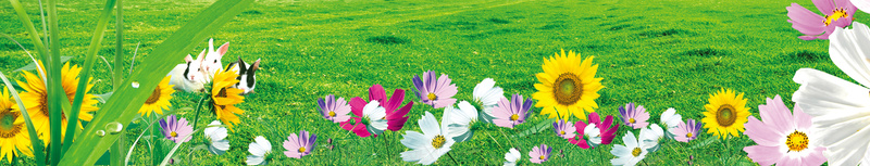 青春温馨户外彩虹海报背景psd设计背景_新图网 https://ixintu.com 开心 彩虹 花朵 草地 蓝天 文艺 小清新 简约