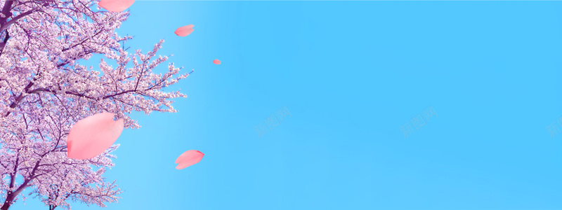 浪漫樱花背景jpg设计背景_新图网 https://ixintu.com 海报banner 梦幻 樱花 浪漫 蓝色