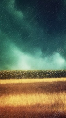 风雨中的麦田H5背景背景