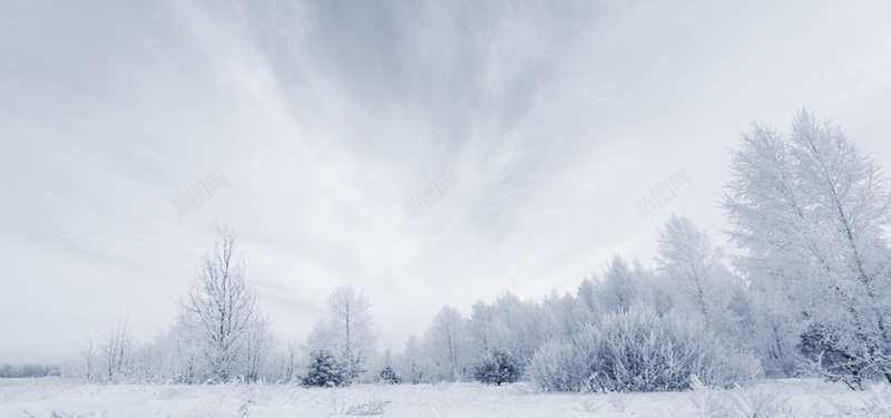 摄影冬日背景jpg设计背景_新图网 https://ixintu.com 摄影 冬日 雪地 白色 树木 海报banner 风景