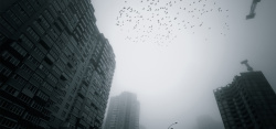 黑白灰色调画册雾霾冬季城市黑白灰色调天空海报背景高清图片