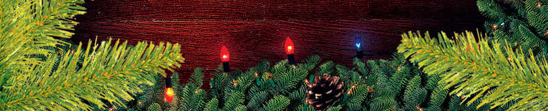圣诞树星光partypsd设计背景_新图网 https://ixintu.com 圣诞节 狂欢 party 聚会 星光 圣诞树 红果 木纹 简约背景 质感 纹理