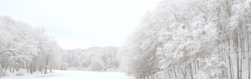 树林雪景psd设计背景_新图网 https://ixintu.com 女装海报 男装海报 冬天 冬季 雪景 唯美背景 女装背景 海报banner 浪漫 梦幻