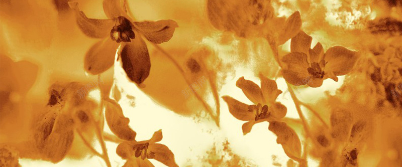 黄色枯萎的花朵jpg设计背景_新图网 https://ixintu.com 凋谢的花朵 复古 怀旧 海报banner 纹理 花朵 质感 风格 黄色
