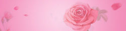 美容网站素材手绘花朵背景高清图片