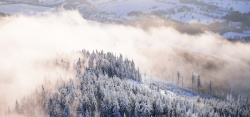 森林雪冬季浪漫白色电商海报背景高清图片