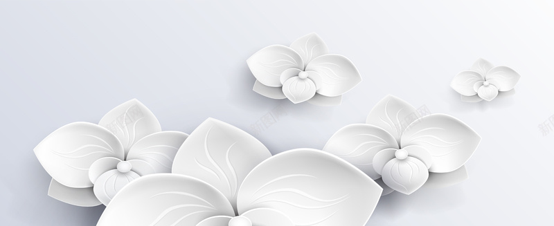 白色花朵背景psd设计背景_新图网 https://ixintu.com 花朵背景 浮雕 白色 立体 简约 海报banner
